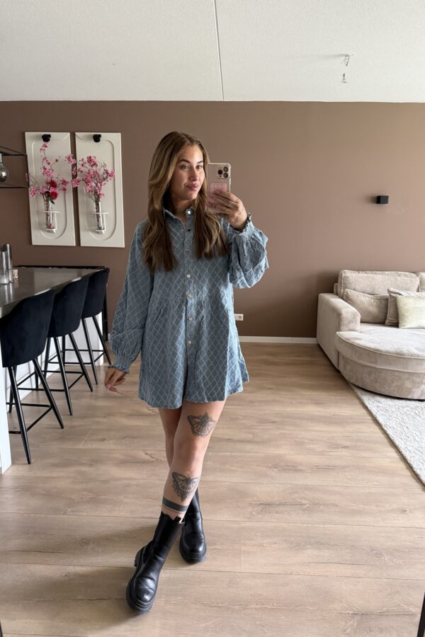 Rumi Denim Dress